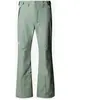 The North Face Pantalon Descendit Pour Homme Slate Moss Taille  male