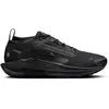 Nike Pegasus Trail 5 GTX