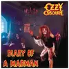 EPIC Diary Of A Madman