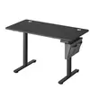 SONGMICS Bureau électrique assis-debout 60 x 120 x (72-120) cm noir d'encre