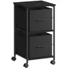 VASAGLE Armoire de classement avec 2 tiroirs, Noir
