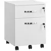 VASAGLE Caisson de bureau avec 2 tiroirs, Blanc
