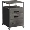 VASAGLE Caisson de bureau avec 2 tiroirs, Gris