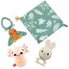 Fisher-Price-Les Sens en éveil - Coffret 4 jouets sensoriels pour bébé - Fisher-Price - HRB17