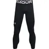 Legging under armour coldgear