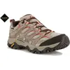 Merrell Femme Moab 3 GTX Chaussure de randonnée, Bungee Cord, 42 EU