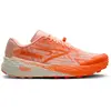 Brooks Catamount 4
