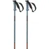 Salomon Bâtons Polar Pro