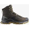Salomon Bottes De Randonnée Quest Element Goretex
