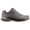 Salomon XA PRO 3D v9 Gore-Tex Chaussures de sport femme Gris/argent 38