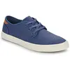 Baskets basses Toms  CARLO