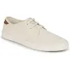 Baskets basses Toms  CARLO