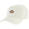 casquettes dickies hardwick c581 cloud