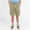 Timberland DWR Cargo Short - Short randonnée homme Cassel Earth US 34