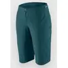Patagonia Dirt Roamer Bike Short bleu 4