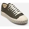Palladium Palla Ace CVS Org - Chaussures lifestyle Olive Night 45