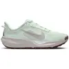 Nike ACG Pegasus