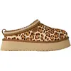 UGG Tazz Plains Women's, marron 41
