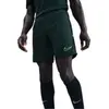 Short Nike  HJ3796