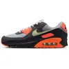 Chaussure Nike Air Max 90 pour homme - Gris 40 DM0029-018