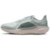 Chaussures de running Nike Pegasus 41 GORE-TEX Bleu 44,5 FQ1356-007