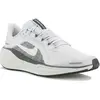 Nike Pegasus 41 Chaussures homme Gris/argent 36.5