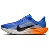 Chaussures de running nike pegasus plus homme bleu 42 FQ7262-403