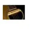 Lr Baggs M1actif pour Guitare Gaucher