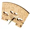 Instruments de musique et accessoires : 2lvio