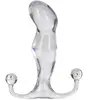 Aneros Stimulateur prostatique Progasm Ice (Couleur : TRANSLUCIDE)