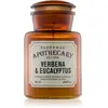 Paddywax Apothecary Verbena & Eucalyptus bougie parfumée 226 g