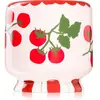 Bougie parfumée - Heirloom Tomato Paddywax