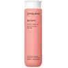 Shampoing Curl 236 ml