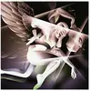 NAPALM RECORDS Shiny And Oh So Bright Volume 1