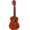 Kevin Ortega RU5MM - Ukulele concert acajou