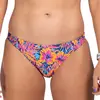 Zoot Bas De Bikini Ltd Swim