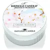Kringle Candle Warm Cotton bougie chauffe-plat 42 g