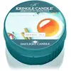 Kringle Candle Herbal Tea bougie chauffe-plat 42 g