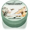 Kringle Candle Sage & Palo Santo bougie chauffe-plat 42 g
