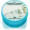 Kringle Candle Eucalyptus & Cotton bougie chauffe-plat 42 g