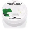 Kringle Candle Gardenia bougie chauffe-plat 42 g