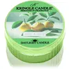 Kringle Candle Yuzu & Sage bougie chauffe-plat 42 g
