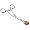 MISTRESS Pinces Forceps en Acier Inoxydable