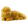 Noble Collection peluche Harry Potter - Crookshanks43 cm orange