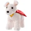 Noble Collection 2025 Krypto Nounours Superman 19 Cm