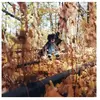 Golliwog Billy Woods (Interprète) Vinyle album