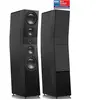 Svs ULTRA EVOLUTION PINNACLE - Paire d'enceintes colonne