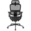 B300 Pro Chaise de bureau ergonomique - Noir / Standard B300-Pro-M101