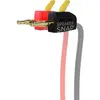 Fiches bananes Speaker Snap Fiches bananes Auto (lot de 8)