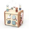 Speedy Monkey Cube d'activités 5 en 1 en bois